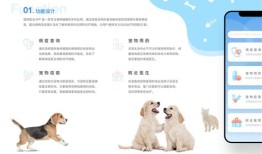 野兽系宠物养成攻略