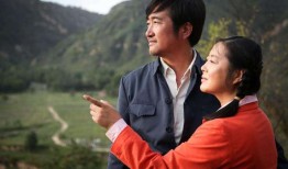 篱笆女人和狗电视剧