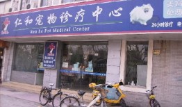 枝江宠物医院有哪些地方