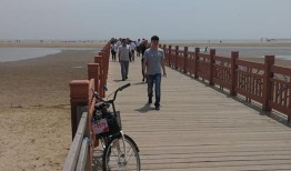 去乐亭月坨岛船票价格