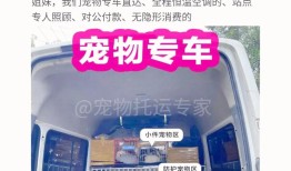 宠物托运平台