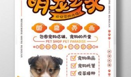 宠物店开业宣传文案