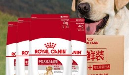 伦敦宠物店