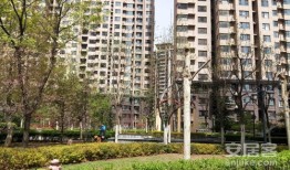 南阳房屋中介公司排名
