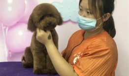 宠物训导专业学校排名