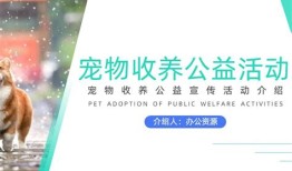 【濮阳宠物领养|濮阳宠物赠送】