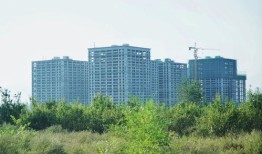冀中能源集团邯郸矿业档案章