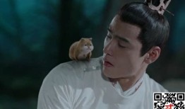 监狱官的宠物叫什么来着