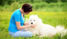 养宠物对孕妇有影响吗