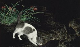 猫蝶图寓意