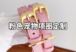 剑网三宠物任务攻略