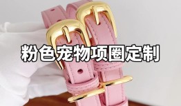 剑网三宠物任务攻略