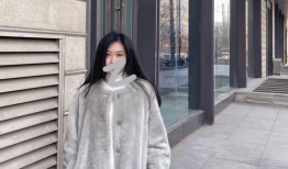 凌云诺宠物灰银狐时间