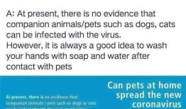 疫情宠物降价通知