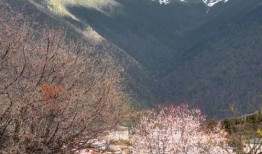 春节去大理旅游攻略