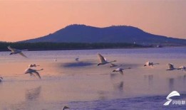 荣成冬季旅游景点大全