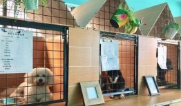 宠物寄养公司宗旨