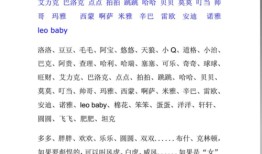 宠物狗的名字洋气