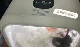宠物烘干机多少钱一台家用