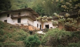 醴陵最美乡村