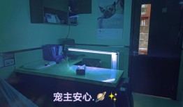 宠物医院上班是真的累