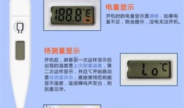 怎样测量电子宠物温度视频