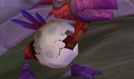 魔兽小宠物首选指南