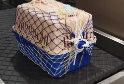 宠物托运安全吗空运宠物什么流程
