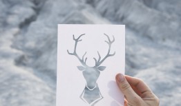 蝴蝶的奇幻之旅，探索自然之美的绘本世界