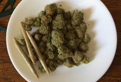 探索自然宝库，植物药材大全名称及图片
