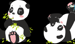 动物百科大全，简笔画中的可爱动物世界