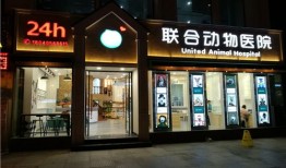 次渠宠物美容
