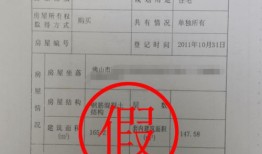 房产证内部什么样子的图片