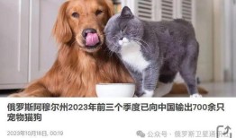 最好养的宠物是什么宠物