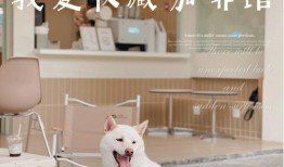宠物咖啡店的产品有哪些