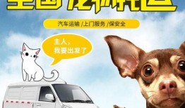 广东省内托运宠物一般多少钱