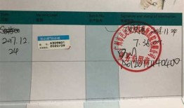 宠物上火车要多少钱
