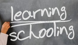 小学英语知识竞赛，六年级学生的挑战与机遇