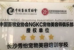 长沙宠物街在哪里