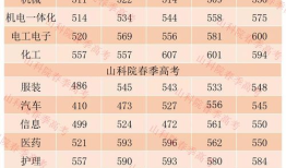 2023春考多少分能上本科 春考山东省分数线