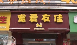 海南琼海宠物店