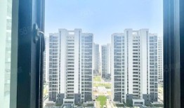 苏州58同城网总监宋鸳鸯简历