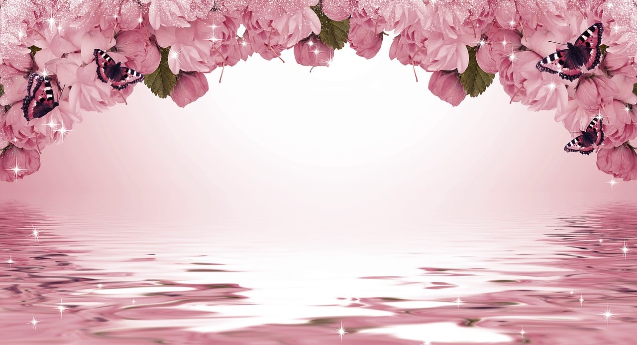 探索花语，寓意美好的花卉及其象征意义