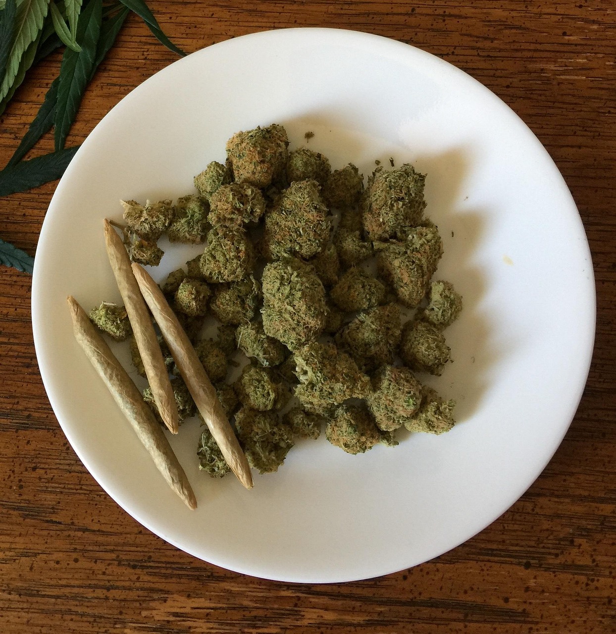 探索自然宝库，植物药材大全名称及图片