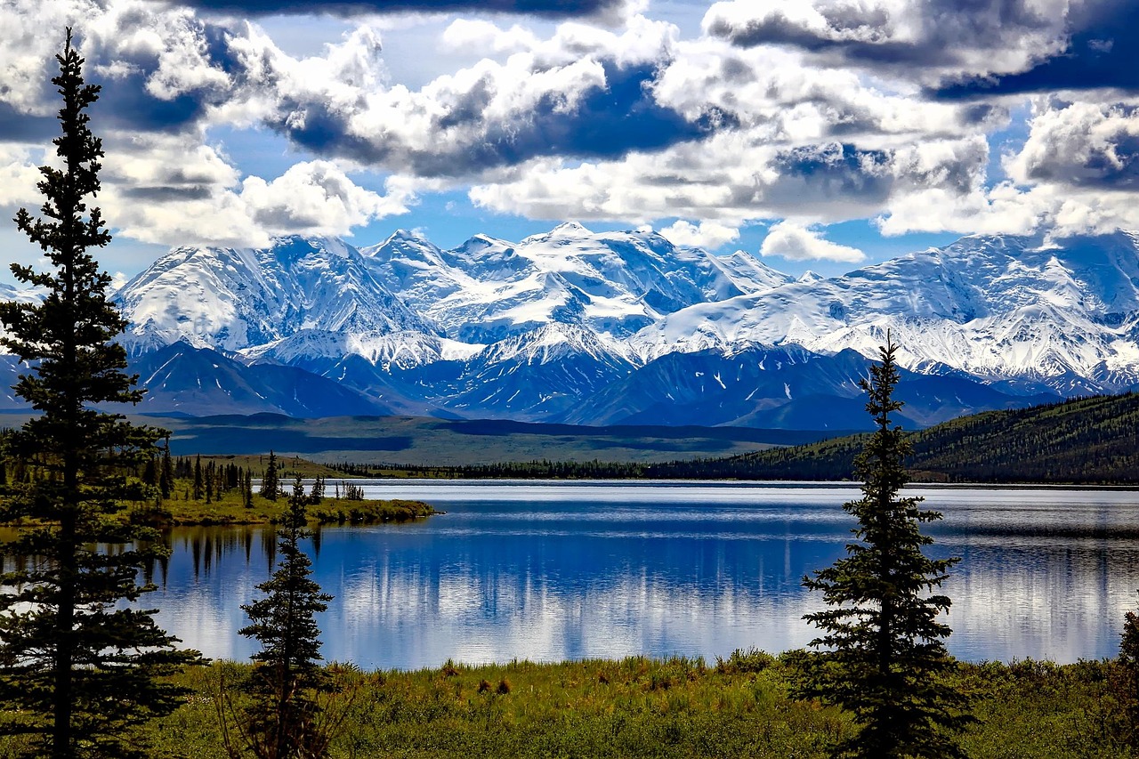 花语与风景，自然之美的交响诗